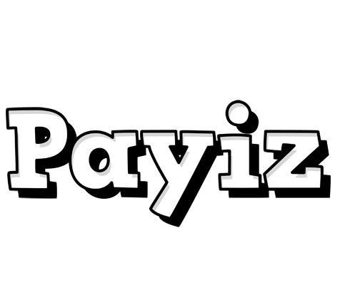 Payiz snowing logo