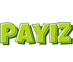 Payiz summer logo