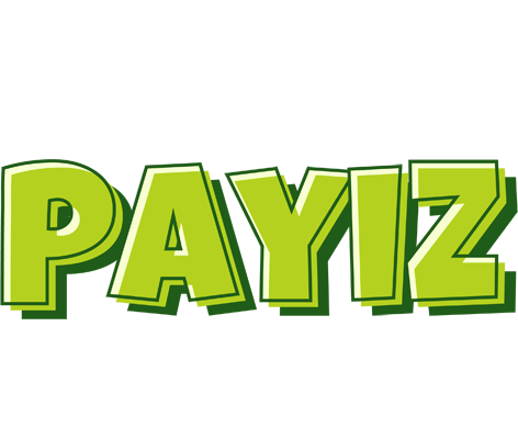 Payiz summer logo