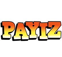 Payiz sunset logo