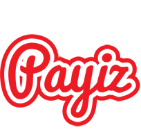 Payiz sunshine logo