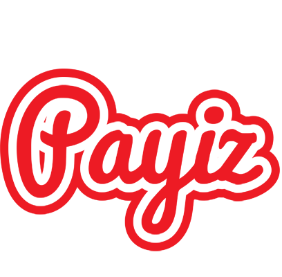 Payiz sunshine logo