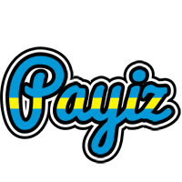 Payiz sweden logo