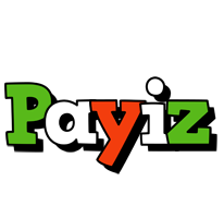 Payiz venezia logo