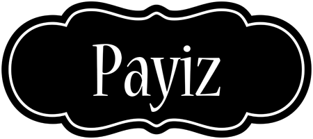 Payiz welcome logo