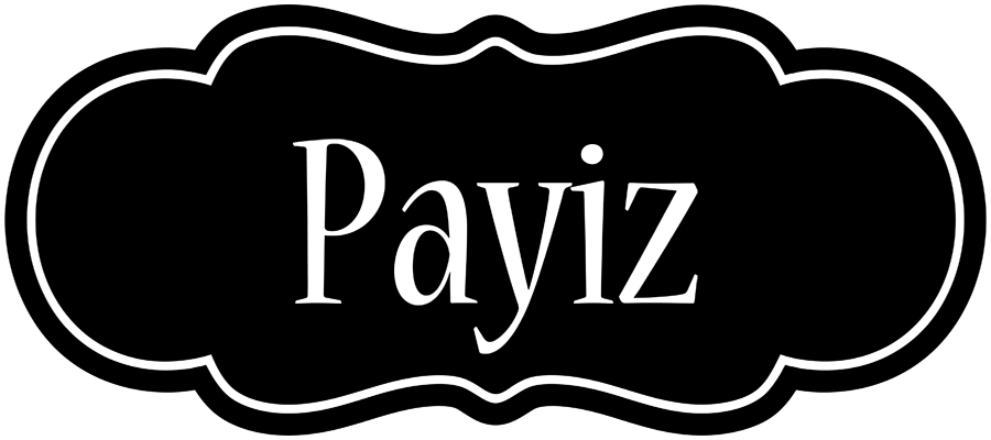 Payiz welcome logo