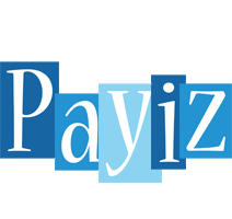 Payiz winter logo
