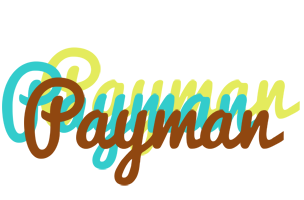 Payman cupcake logo