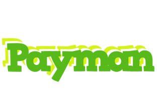 Payman picnic logo