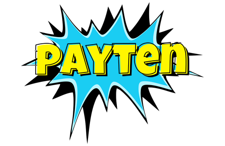 Payten amazing logo