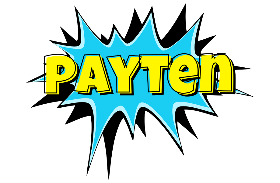 Payten amazing logo