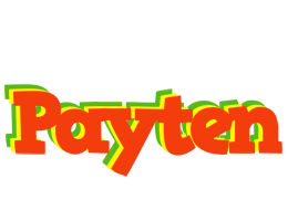 Payten bbq logo