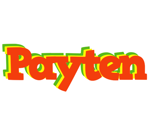 Payten bbq logo