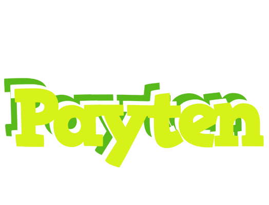 Payten citrus logo