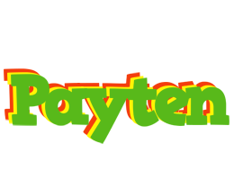 Payten crocodile logo