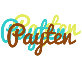 Payten cupcake logo