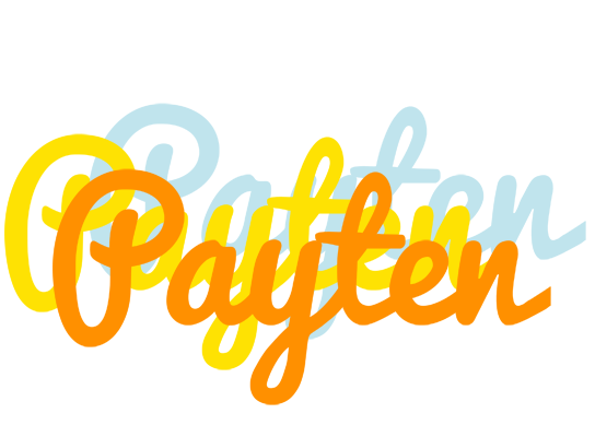 Payten energy logo