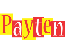 Payten errors logo