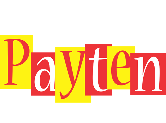 Payten errors logo