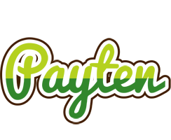 Payten golfing logo