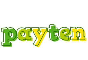 Payten juice logo