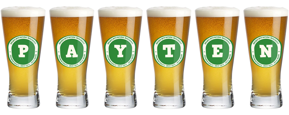 Payten lager logo