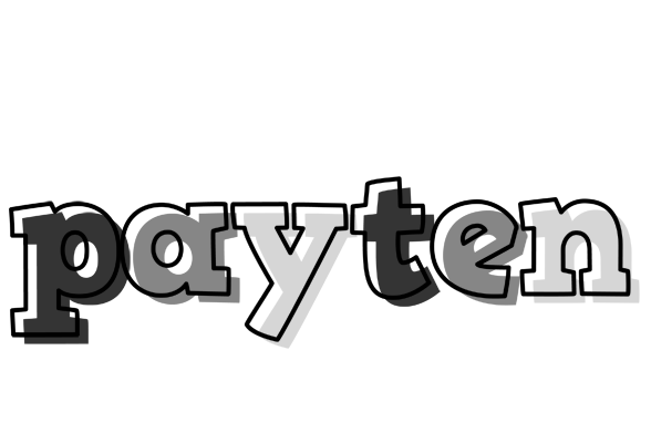 Payten night logo
