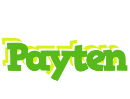 Payten picnic logo