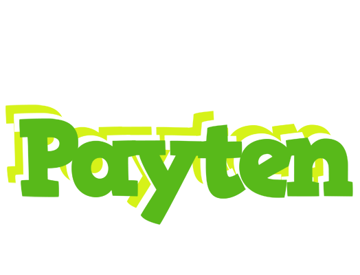 Payten picnic logo