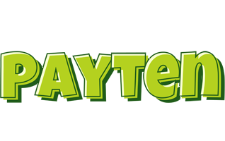 Payten summer logo