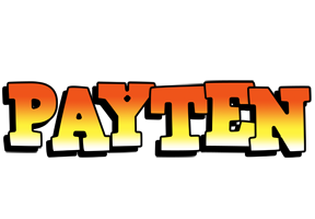 Payten sunset logo