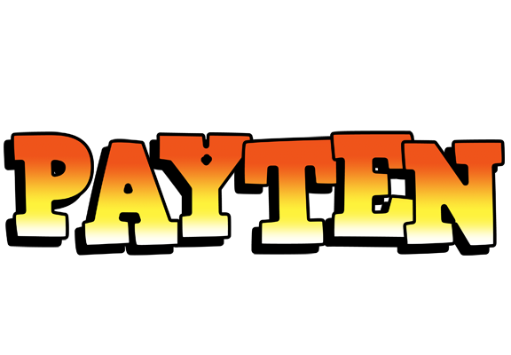 Payten sunset logo