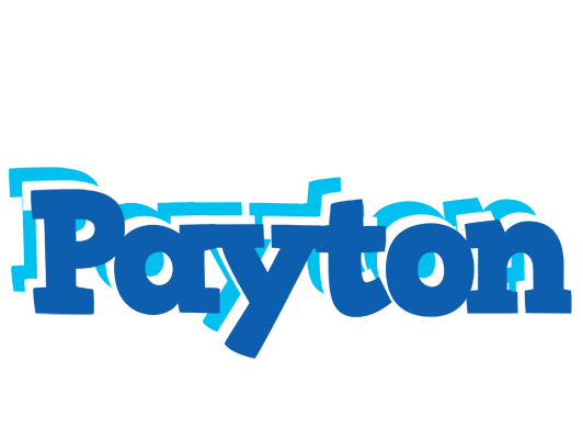 Payton business logo
