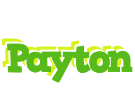 Payton picnic logo