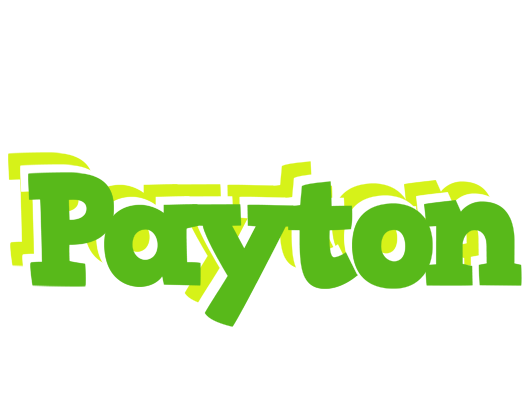Payton picnic logo