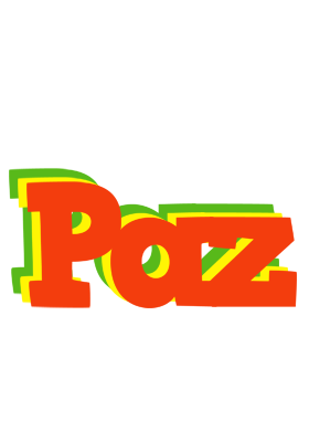 Paz bbq logo