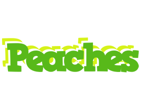 Peaches picnic logo