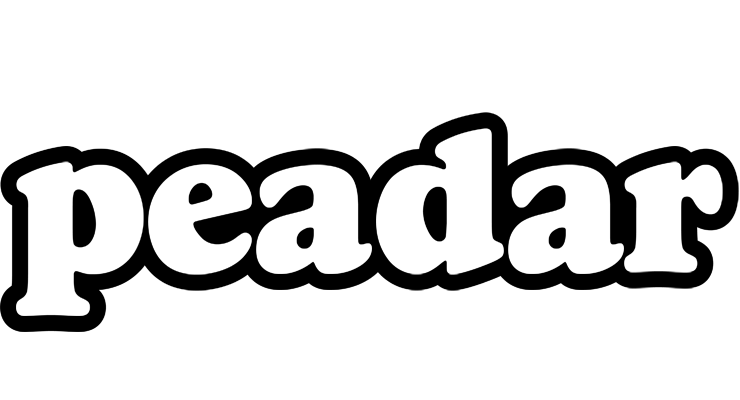 Peadar panda logo