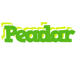 Peadar picnic logo