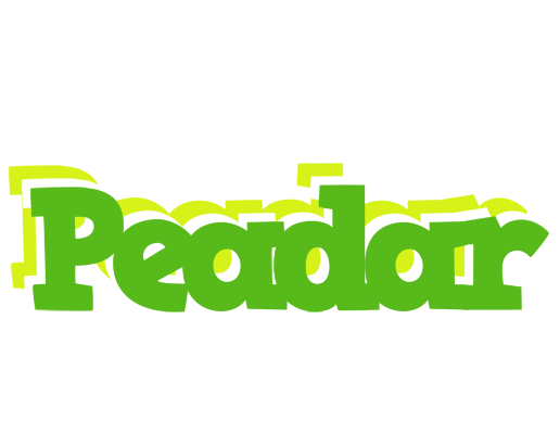 Peadar picnic logo