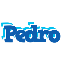 Pedro business logo