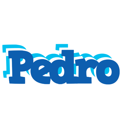Pedro business logo