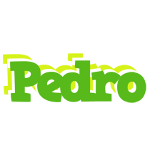 Pedro picnic logo