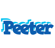 Peeter business logo