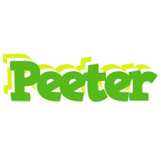 Peeter picnic logo