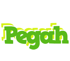 Pegah picnic logo