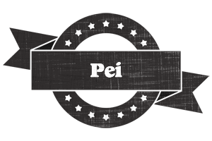 Pei grunge logo