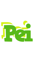 Pei picnic logo