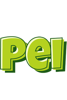 Pei summer logo
