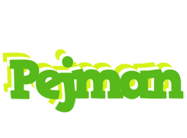 Pejman picnic logo